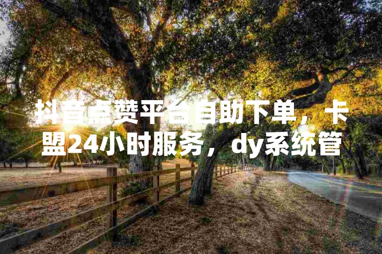 抖音点赞平台自助下单，卡盟24小时服务，dy系统管理中心支持自助操作。