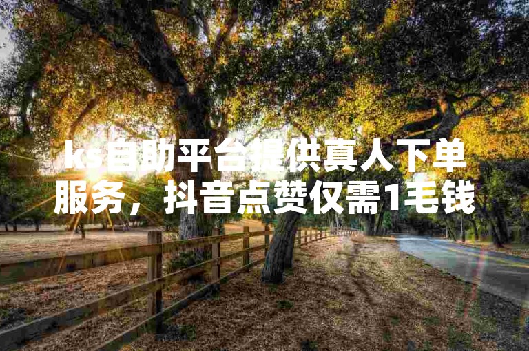 ks自助平台提供真人下单服务，抖音点赞仅需1毛钱即可获得1000个赞 - 享受24小时不间断的抖音自助免费服务 - 探索ks免费业务软件的便捷性。