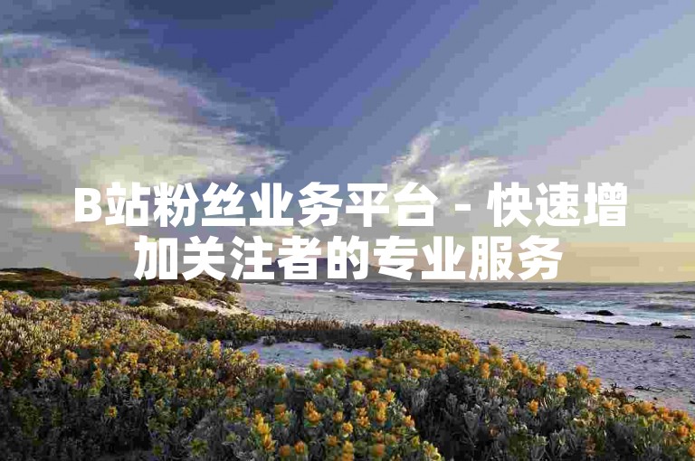 B站粉丝业务平台 - 快速增加关注者的专业服务