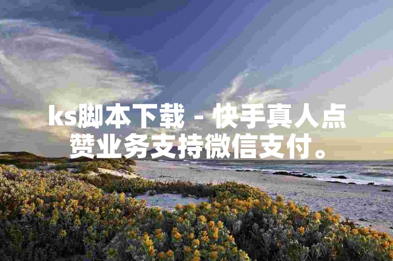 ks脚本下载 - 快手真人点赞业务支持微信支付。