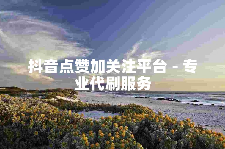 抖音点赞加关注平台 - 专业代刷服务