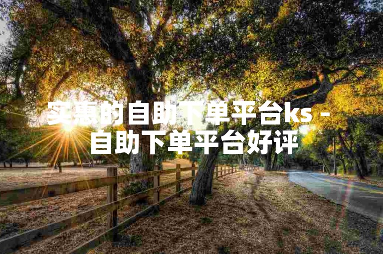 实惠的自助下单平台ks - 自助下单平台好评