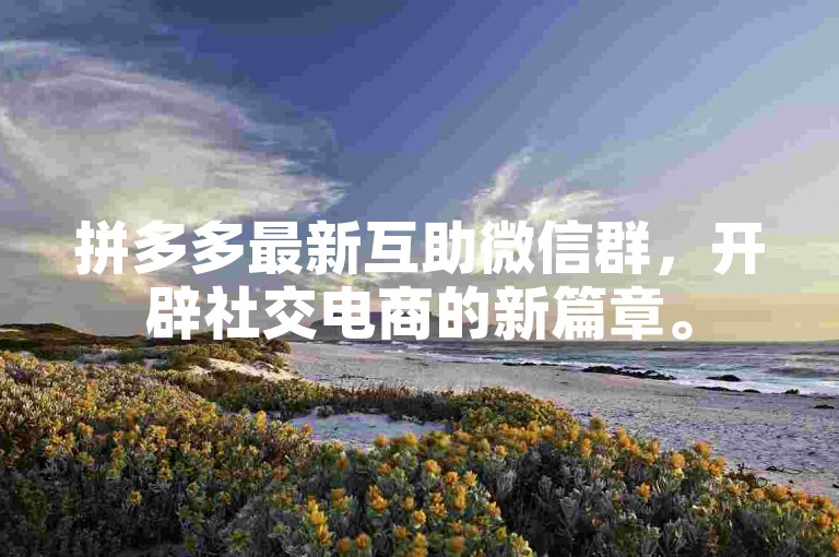 拼多多最新互助微信群，开辟社交电商的新篇章。
