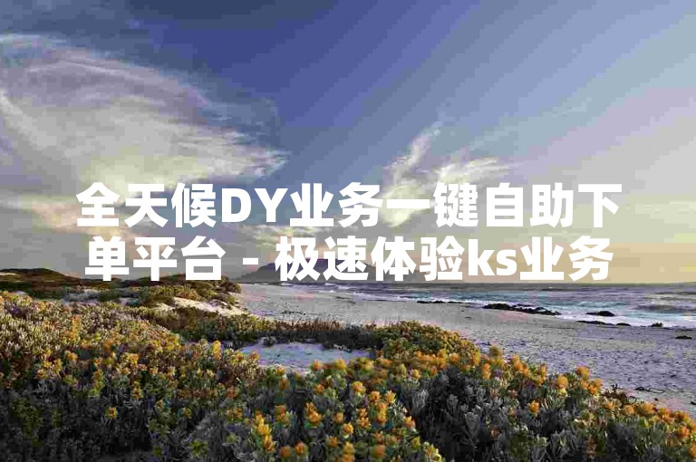 全天候DY业务一键自助下单平台 - 极速体验ks业务自助下单的云笙服务。