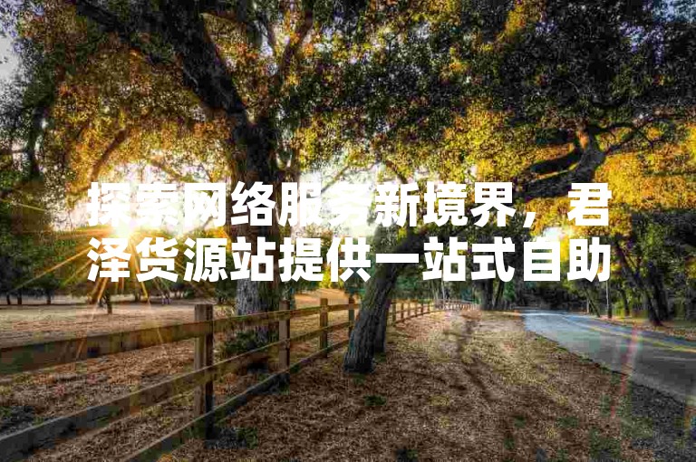 探索网络服务新境界，君泽货源站提供一站式自助下单体验，专为追求高效与便捷的您设计。