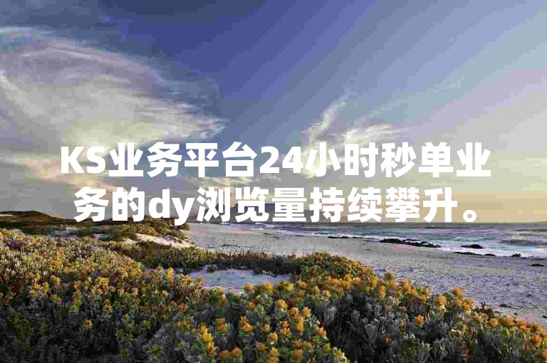 KS业务平台24小时秒单业务的dy浏览量持续攀升。
