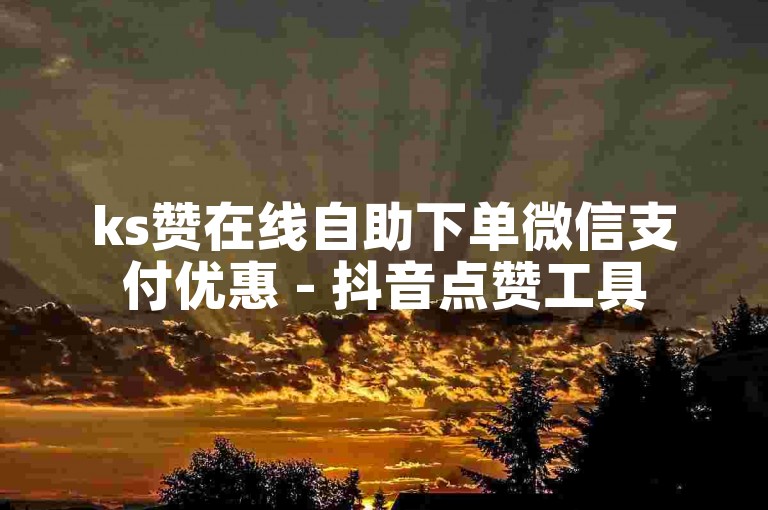 ks赞在线自助下单微信支付优惠 - 抖音点赞工具