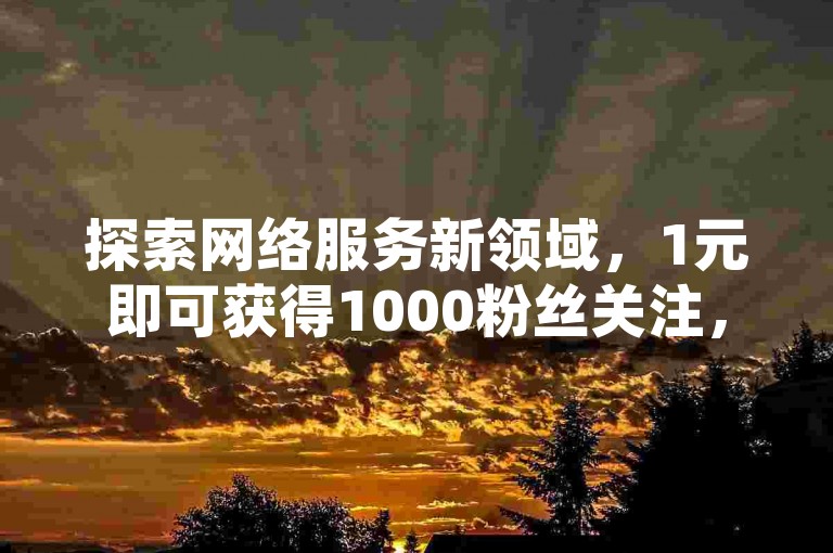 探索网络服务新领域，1元即可获得1000粉丝关注，快手账号1万粉轻松拥有，更有实惠点赞服务等你来体验。