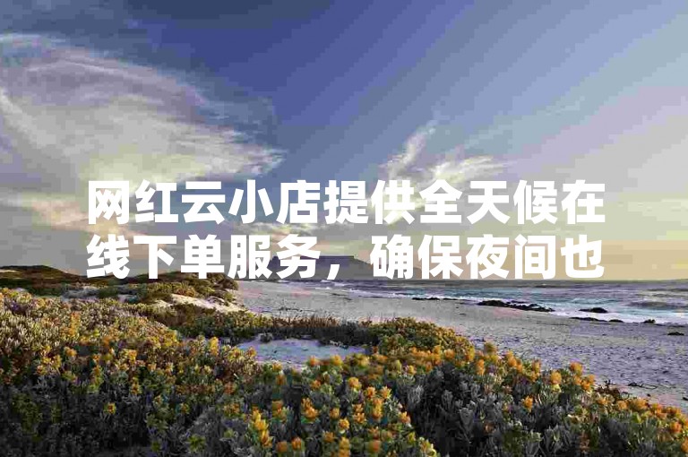 网红云小店提供全天候在线下单服务，确保夜间也能轻松购物。