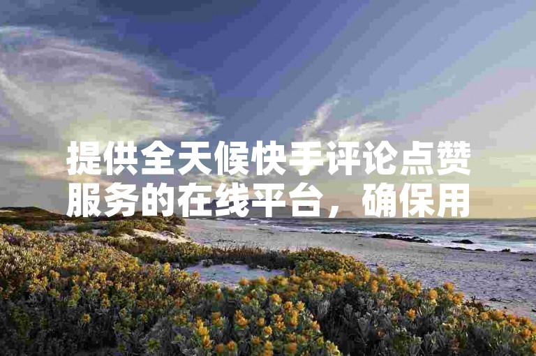 提供全天候快手评论点赞服务的在线平台，确保用户能随时获得所需的互动支持。