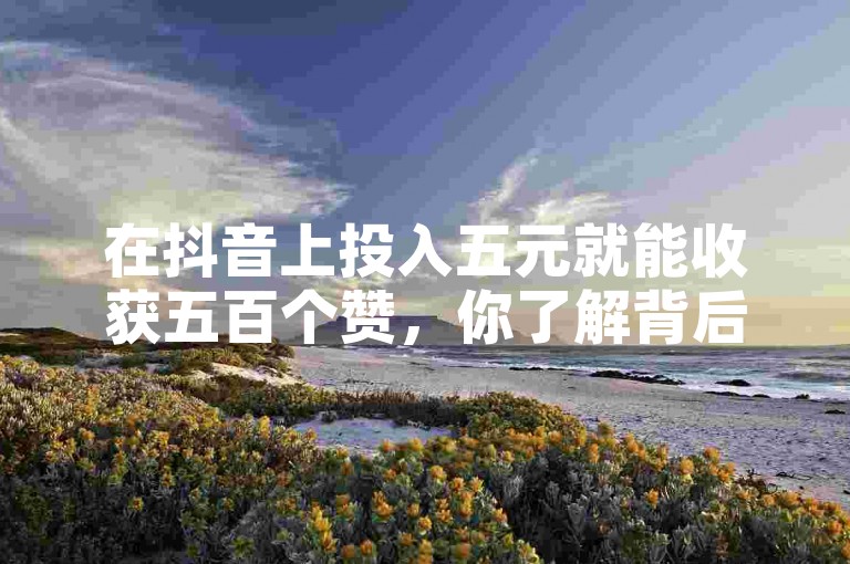 在抖音上投入五元就能收获五百个赞，你了解背后的操作吗？