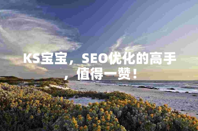 KS宝宝，SEO优化的高手，值得一赞！