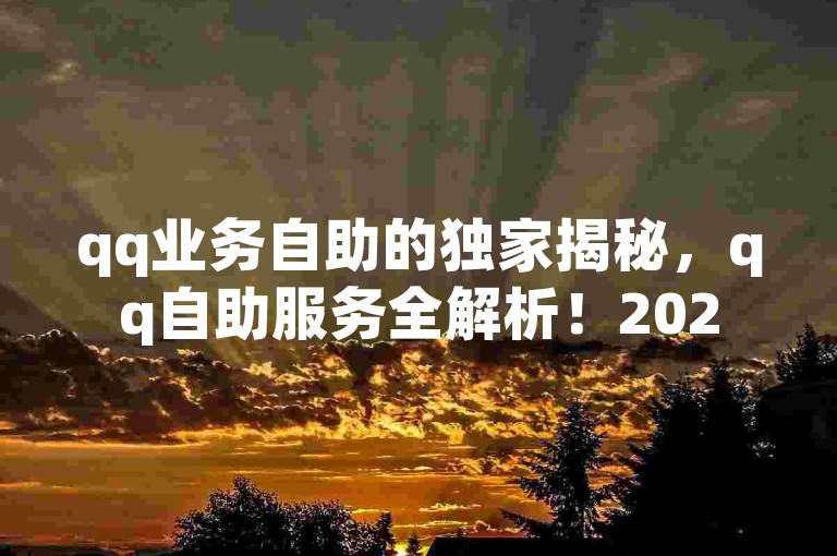 qq业务自助的独家揭秘，qq自助服务全解析！2025必学