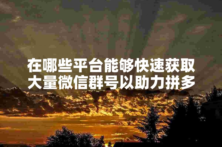 在哪些平台能够快速获取大量微信群号以助力拼多多活动？
