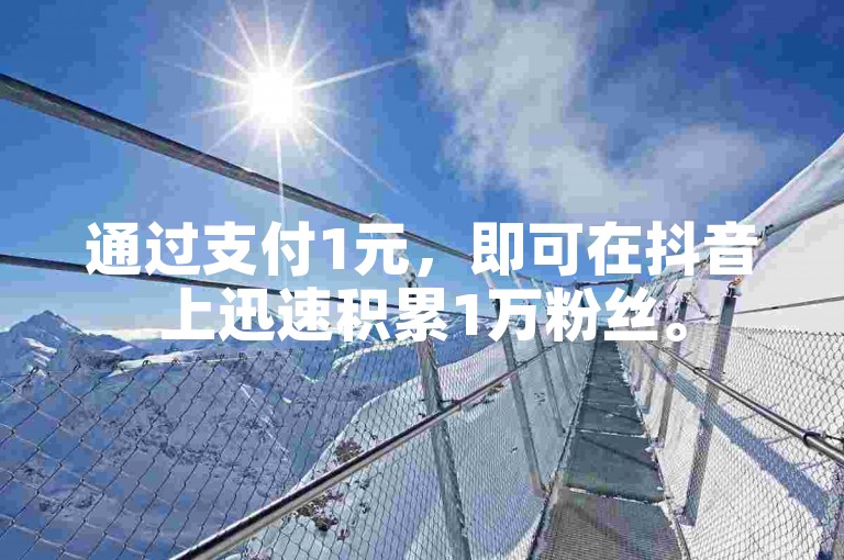 通过支付1元，即可在抖音上迅速积累1万粉丝。
