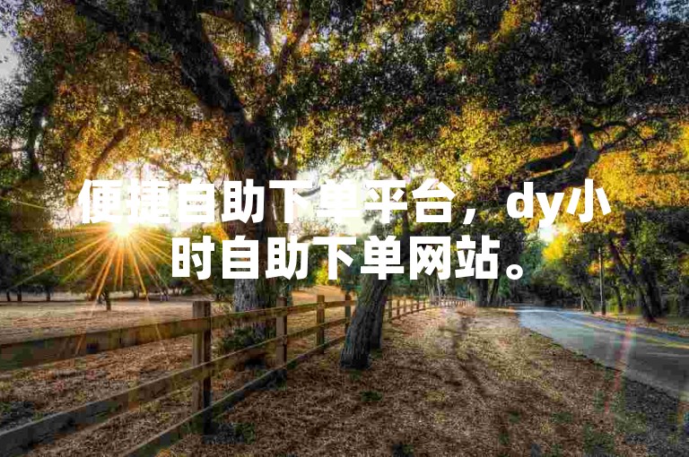 便捷自助下单平台，dy小时自助下单网站。