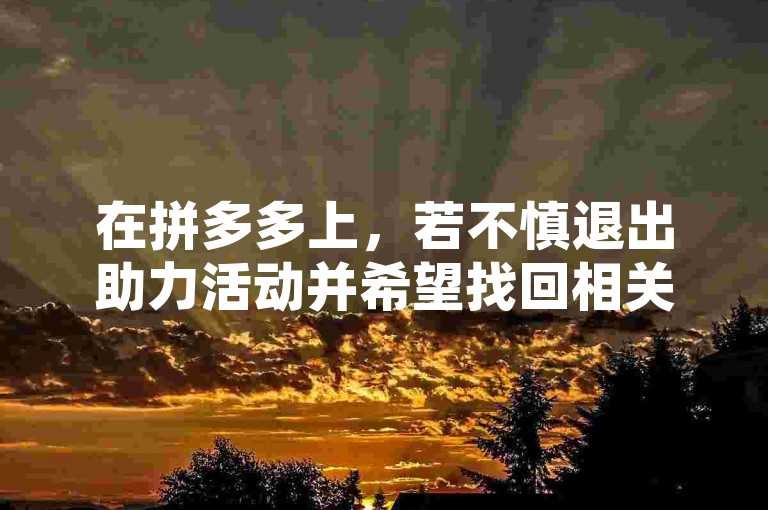 在拼多多上，若不慎退出助力活动并希望找回相关聊天记录，可遵循以下恢复指南进行操作。