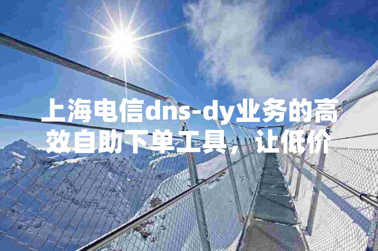 上海电信dns-dy业务的高效自助下单工具，让低价服务触手可及。