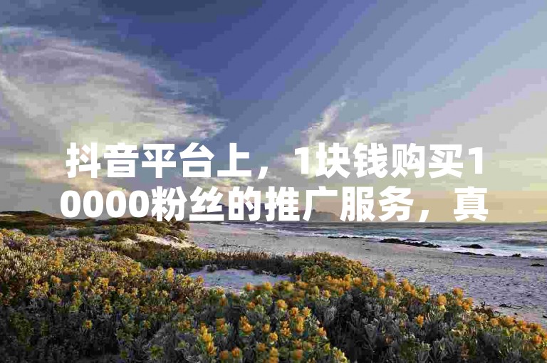 抖音平台上，1块钱购买10000粉丝的推广服务，真的能带来这么多关注者吗？