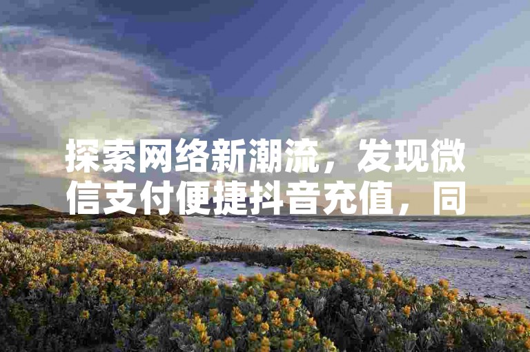 探索网络新潮流，发现微信支付便捷抖音充值，同时获取快手赞与粉丝增长秘籍，以及QQ空间访客量的免费提升技巧。