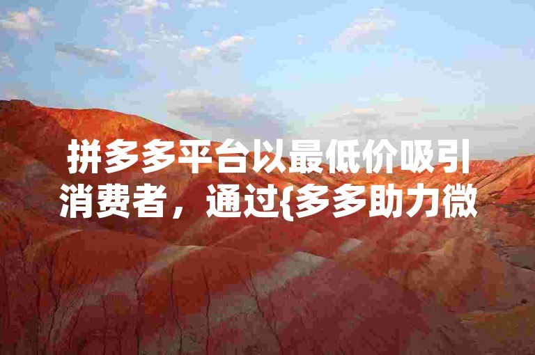 拼多多平台以最低价吸引消费者，通过{多多助力微信群}进行推广。
