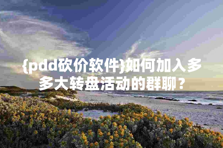 {pdd砍价软件}如何加入多多大转盘活动的群聊？