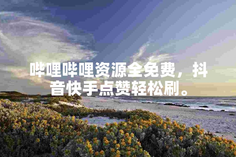 哔哩哔哩资源全免费，抖音快手点赞轻松刷。
