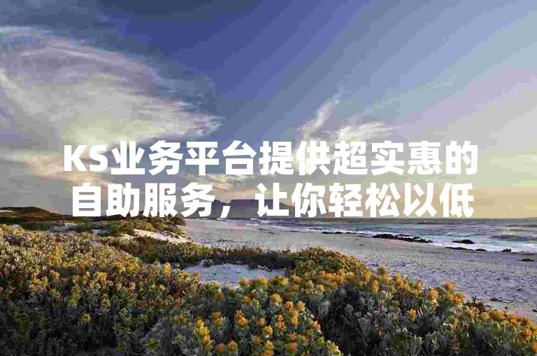 KS业务平台提供超实惠的自助服务，让你轻松以低价获得所需的赞和关注。