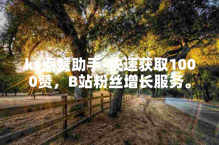 ks点赞助手-快速获取1000赞，B站粉丝增长服务。