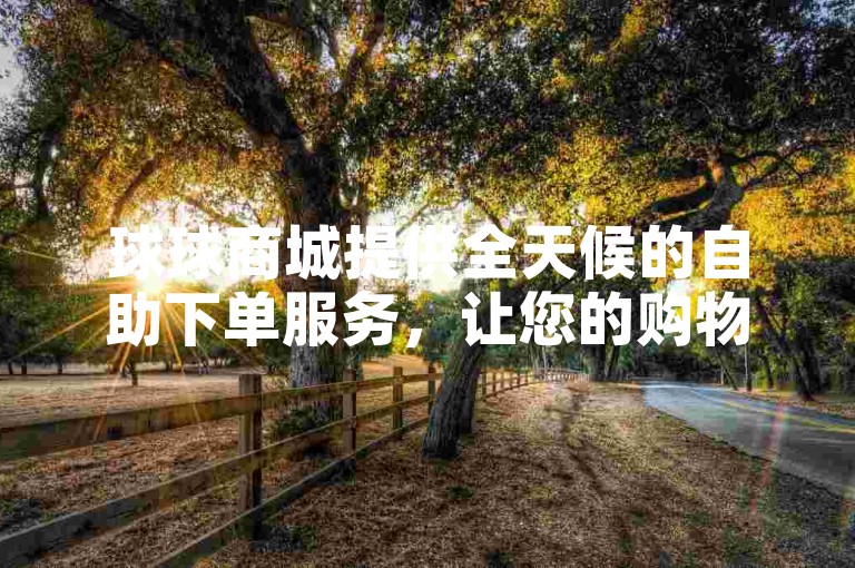 球球商城提供全天候的自助下单服务，让您的购物体验更加轻松便捷！