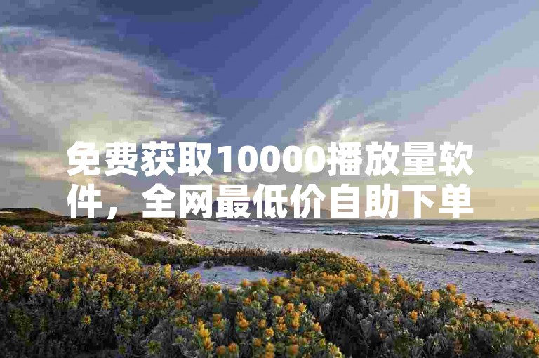 免费获取10000播放量软件，全网最低价自助下单。