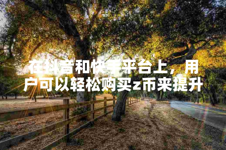 在抖音和快手平台上，用户可以轻松购买z币来提升自己的粉丝业务。