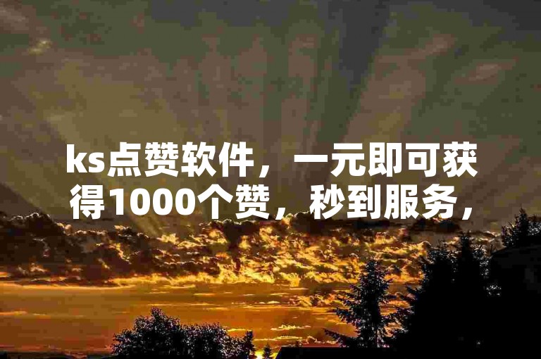 ks点赞软件，一元即可获得1000个赞，秒到服务，专业人工点赞团队全天候在线。