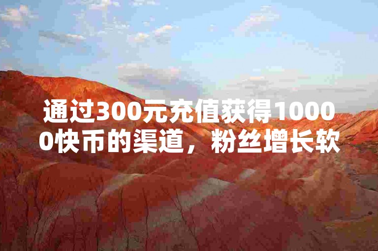 通过300元充值获得10000快币的渠道，粉丝增长软件得以高效运行。