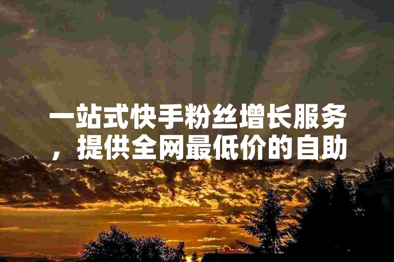 一站式快手粉丝增长服务，提供全网最低价的自助下单体验。