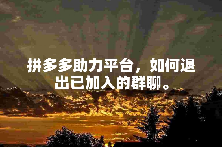 拼多多助力平台，如何退出已加入的群聊。