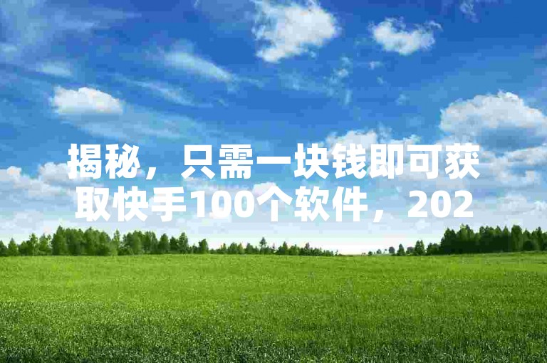 揭秘，只需一块钱即可获取快手100个软件，2025年必备技能！