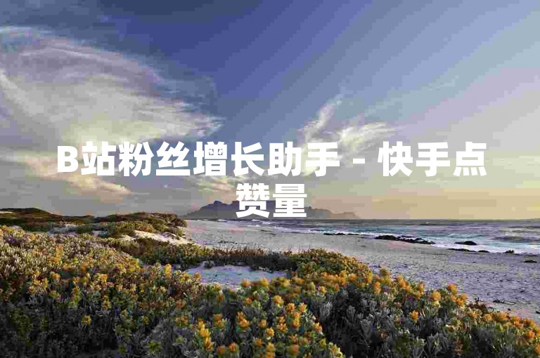 B站粉丝增长助手 - 快手点赞量500赠送