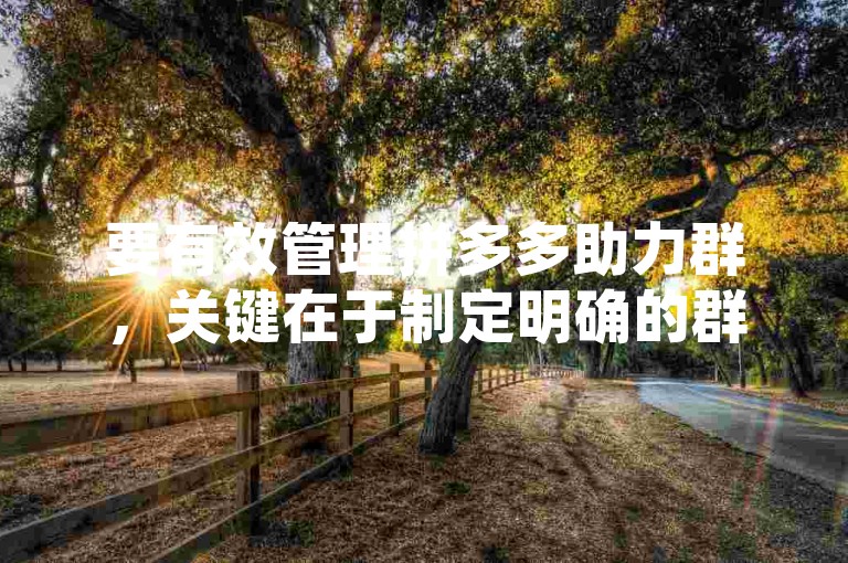 要有效管理拼多多助力群，关键在于制定明确的群规，确保成员行为有序，同时积极组织和协调助力活动。