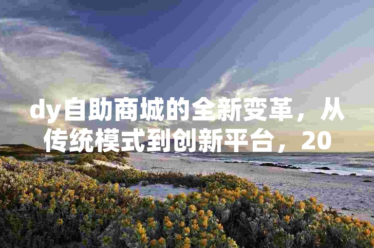 dy自助商城的全新变革，从传统模式到创新平台，2024年引领潮流！