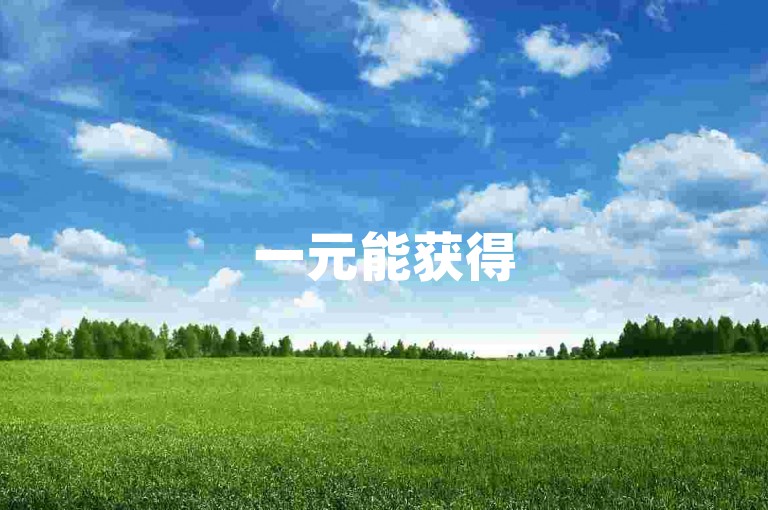 一元能获得500个赞（仅需一元，即可购买500个赞）。