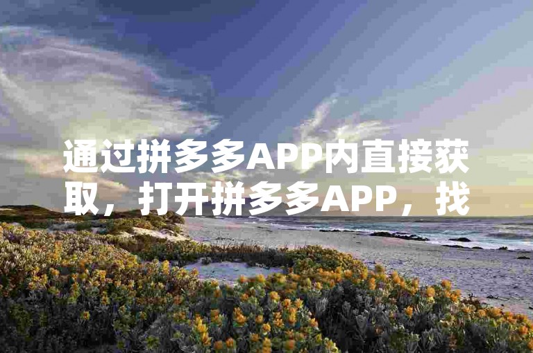 通过拼多多APP内直接获取，打开拼多多APP，找到需要助力的活动页面，点击分享按钮，选择复制链接选项，即可将助力链接合法有效地复制到剪贴板。，利用拼多多官方网站，访问拼多多官方网站，登录账号后，在个人中心或活动页面找到助力链接，右键点击链接并选择复制，也是一种合法有效的复制方式。，借助拼多多官方社交媒体账号，关注拼多多官方社交媒体账号（如微信公众号、微博等），在活动期间，官方可能会发布助力链接，你可以直接复制这些链接进行使用。