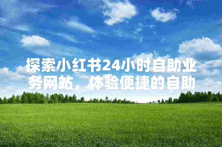 探索小红书24小时自助业务网站，体验便捷的自助下单平台服务。