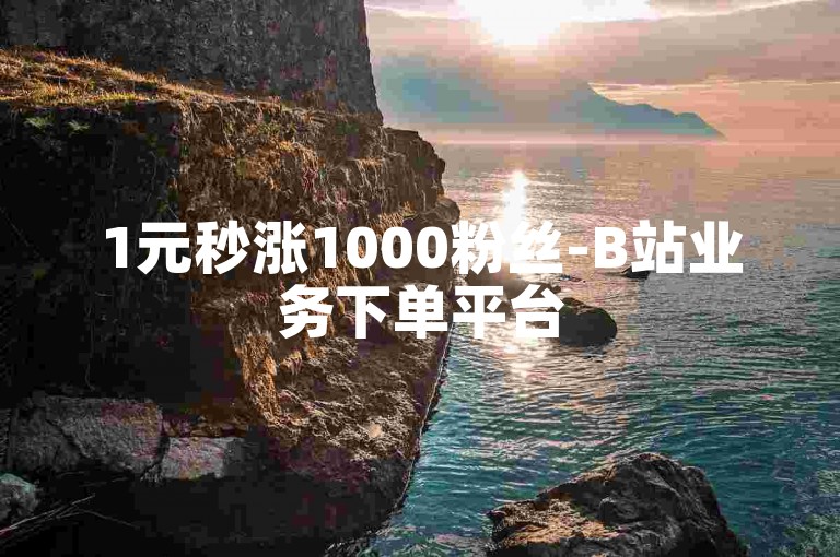 1元秒涨1000粉丝-B站业务下单平台