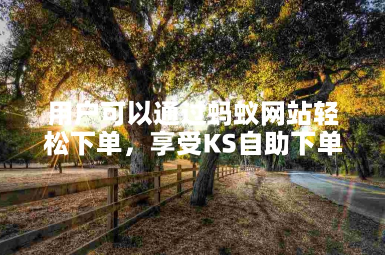 用户可以通过蚂蚁网站轻松下单，享受KS自助下单平台的高效粉丝业务服务。
