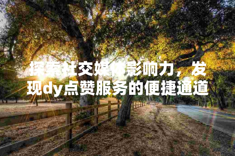 探索社交媒体影响力，发现dy点赞服务的便捷通道。