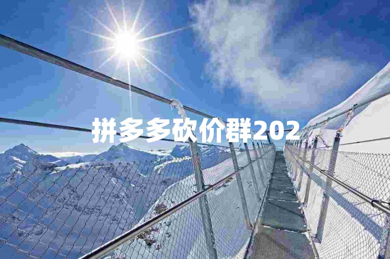 拼多多砍价群2025，扫码入群助力多多。