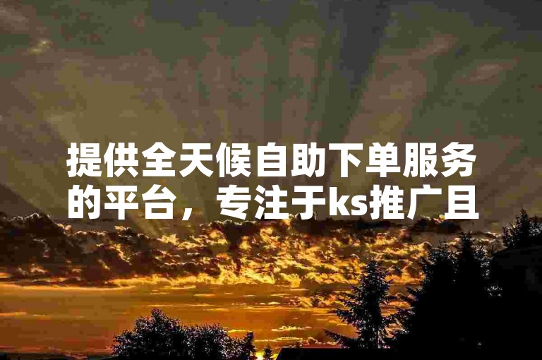 提供全天候自助下单服务的平台，专注于ks推广且网站价格亲民，同时拥有人工点赞团队随时待命。