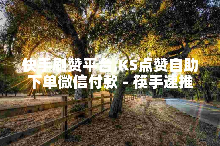 快手刷赞平台,KS点赞自助下单微信付款 - 筷手速推服务 - 快手全天在线业务支持