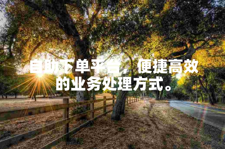 自助下单平台，便捷高效的业务处理方式。